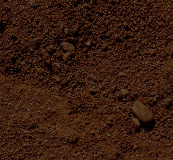 BREVEMENTE!!! CAMPO 4